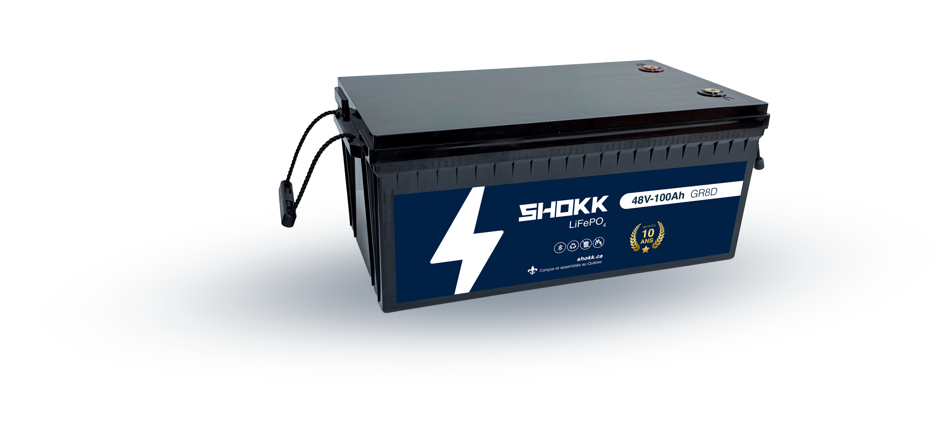 Batterie Lithium 48V 100Ah GR8D
