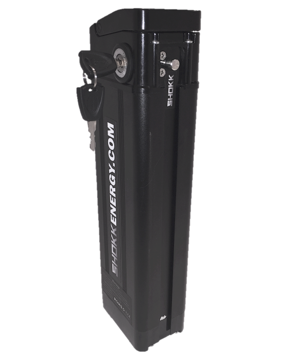 48V Lithium-ion Electric Bike Battery